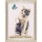 Dutch Stitch Brothers Cat with Butterfly Kit & Frame Counted Cross-Stitch